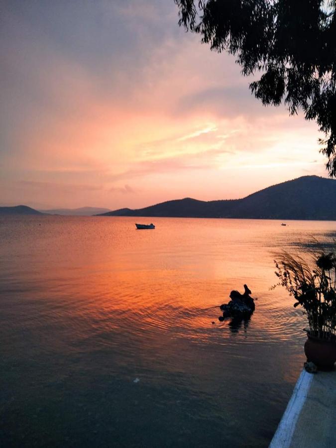 Vitamin Sea Studio Panagia  エクステリア 写真